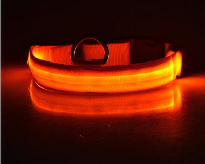 Nylon LED Safety Collar – Night Glow & Flashing Collar for Dogs and Cats