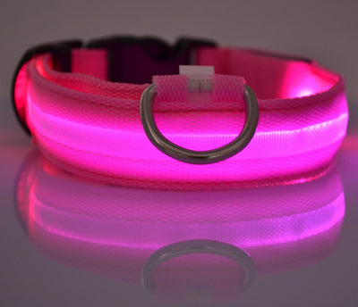 Nylon LED Safety Collar – Night Glow & Flashing Collar for Dogs and Cats