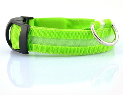 Nylon LED Safety Collar – Night Glow & Flashing Collar for Dogs and Cats