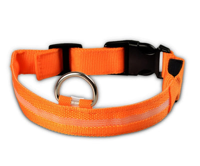 Nylon LED Safety Collar – Night Glow & Flashing Collar for Dogs and Cats