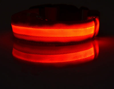 Nylon LED Safety Collar – Night Glow & Flashing Collar for Dogs and Cats