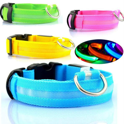 Nylon LED Safety Collar – Night Glow & Flashing Collar for Dogs and Cats