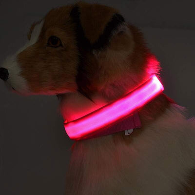 Nylon LED Safety Collar – Night Glow & Flashing Collar for Dogs and Cats