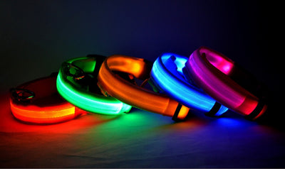 Nylon LED Safety Collar – Night Glow & Flashing Collar for Dogs and Cats
