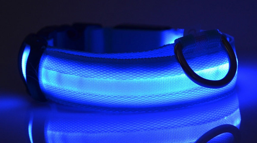 Nylon LED Safety Collar – Night Glow & Flashing Collar for Dogs and Cats
