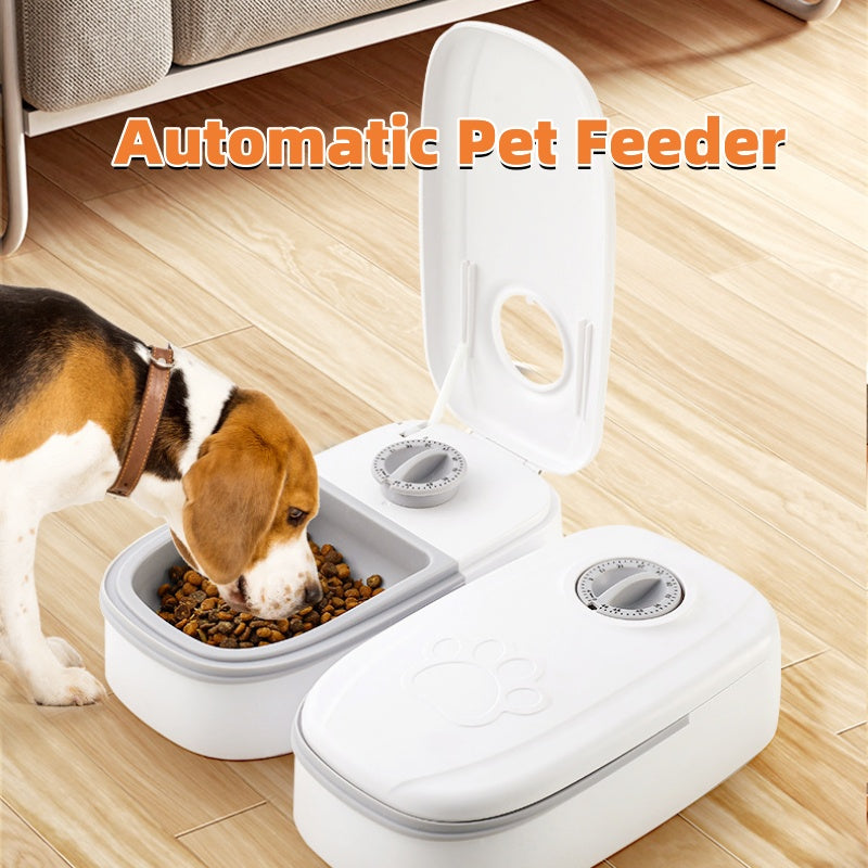 Automatic Smart Pet Feeder | Timed Food Dispenser for Cats & Dogs with Stainless Steel Bowl